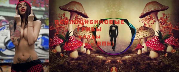 ALPHA PVP Киреевск